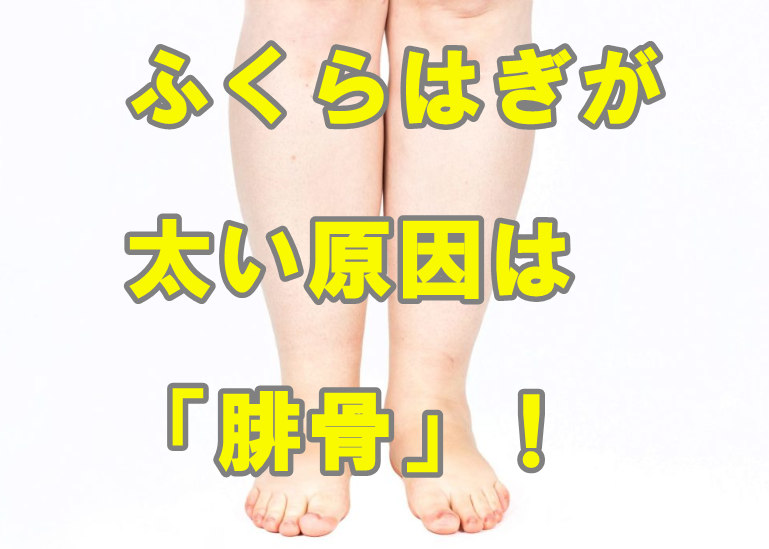 ふくらはぎが太い原因は腓骨かも 太いふくらはぎを細くする方法 福岡の大転子矯正専門ふくだ整体院